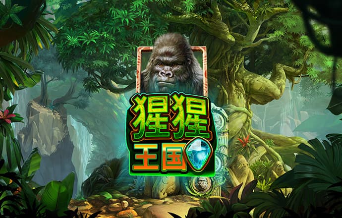 开云登录入口登录app下载